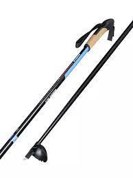 ski poles